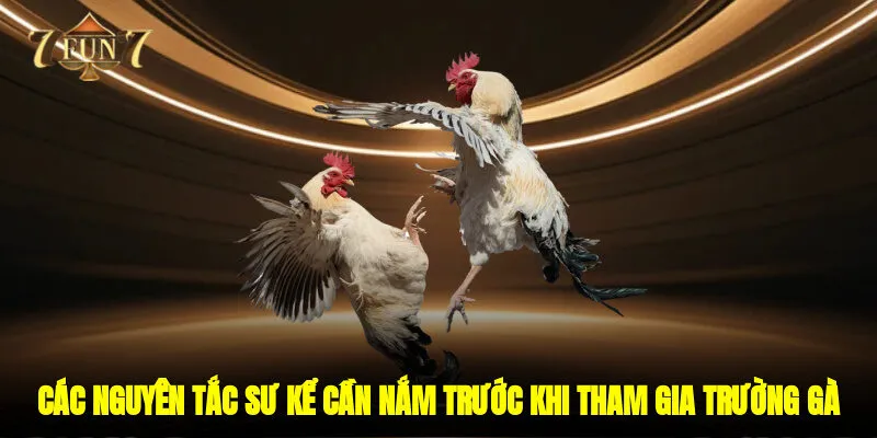 Các nguyên tắc sư kể cần nắm trước khi tham gia trường gà