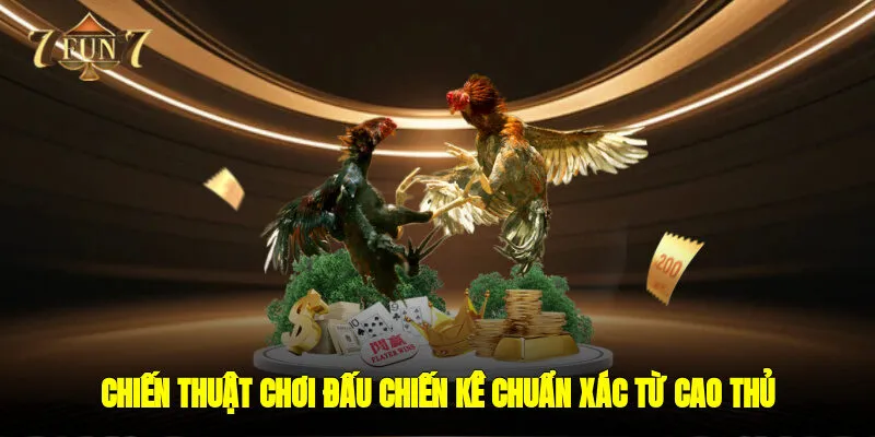 Chiến thuật chơi đấu chiến kê chuẩn xác từ cao thủ