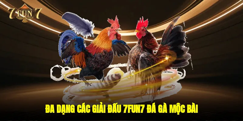 Đa dạng các giải đấu 7FUN7 đá gà mộc bài