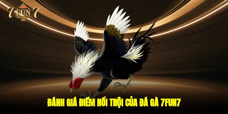 Đánh giá điểm nổi trội của đá gà 7FUN7