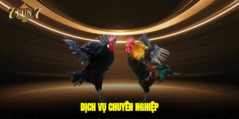 Dịch vụ chuyên nghiệp