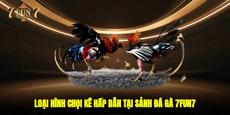 Loại hình chọi kê hấp dẫn tại sảnh đá gà 7FUN7