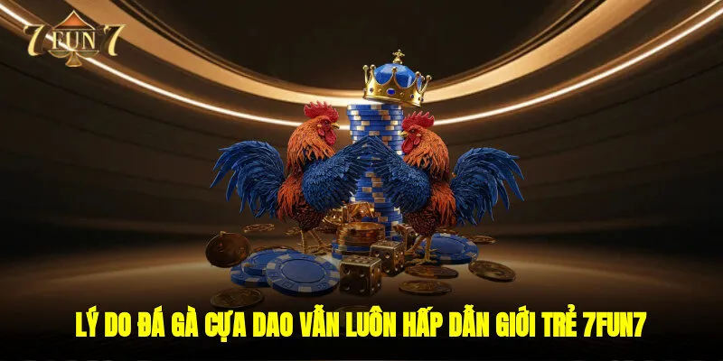 Lý do đá gà cựa dao vẫn luôn hấp dẫn giới trẻ 7FUN7 những năm gần đây