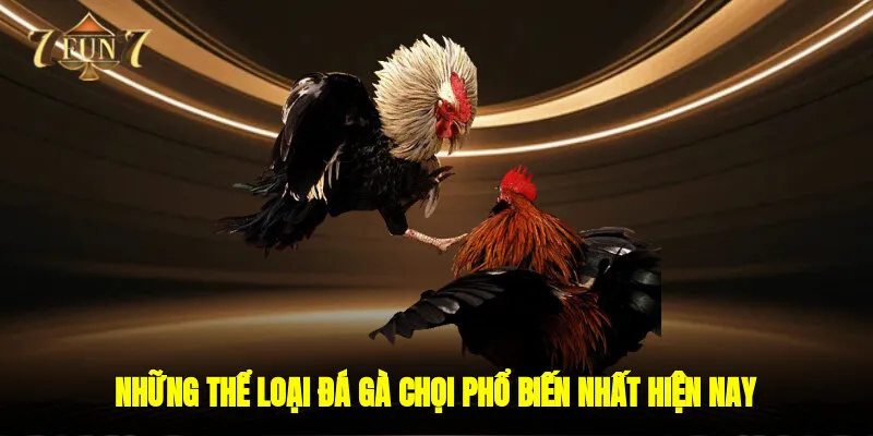 Những thể loại đá gà chọi  phổ biến nhất hiện nay