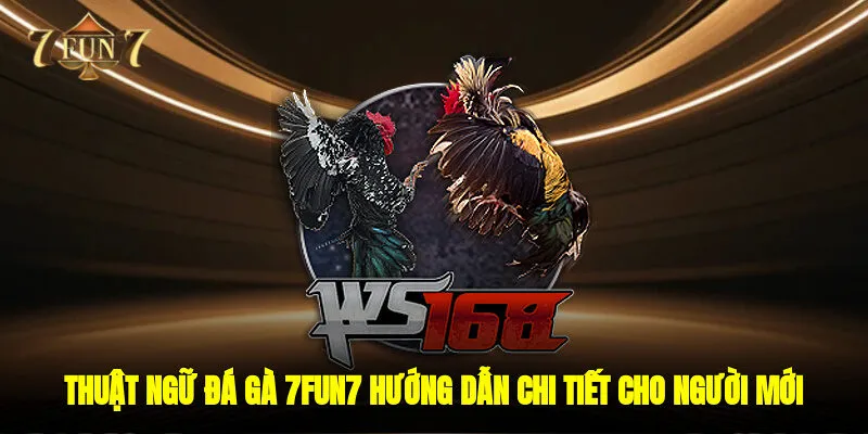 Thuật Ngữ Đá Gà 7FUN7 – Hướng Dẫn Chi Tiết Cho Người Mới