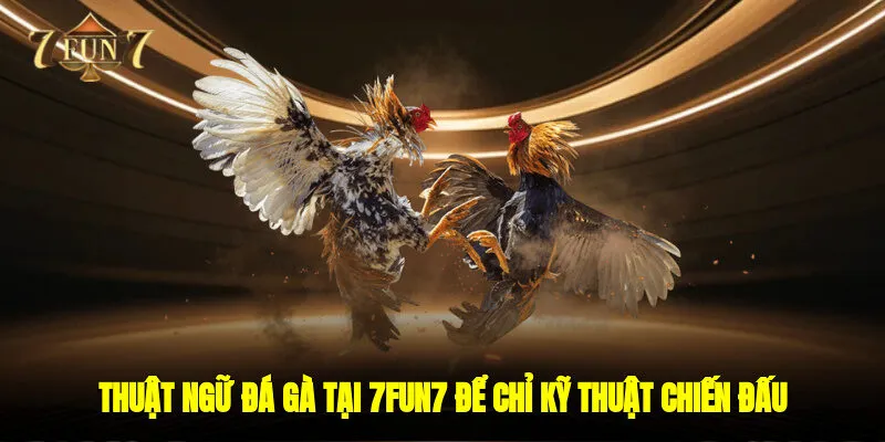 Thuật ngữ đá gà 7FUN7 để chỉ kỹ thuật chiến đấu