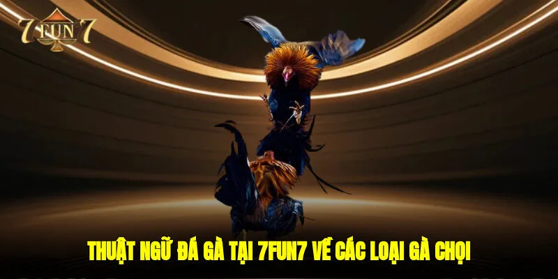 Thuật ngữ đá gà tại 7FUN7 về các loại gà chọi