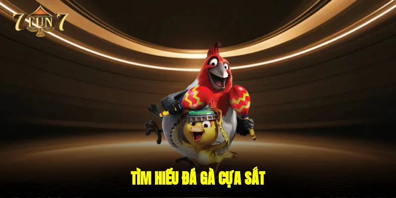 Tìm hiểu đá gà cựa sắt