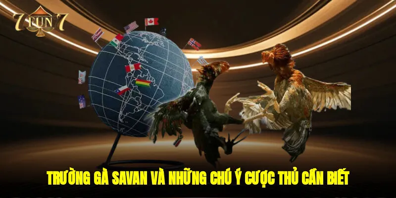 Trường Gà Savan Và Những Chú Ý Cược Thủ Cần Biết