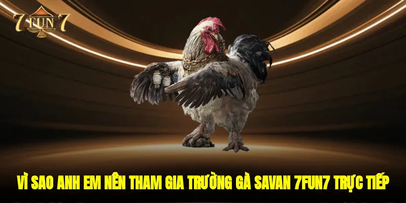 Vì sao anh em cược thủ nên tham gia cá cược Trường gà Savan 7FUN7 trực tiếp?